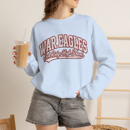 CUSTOM Mascot & School Sweatshirt